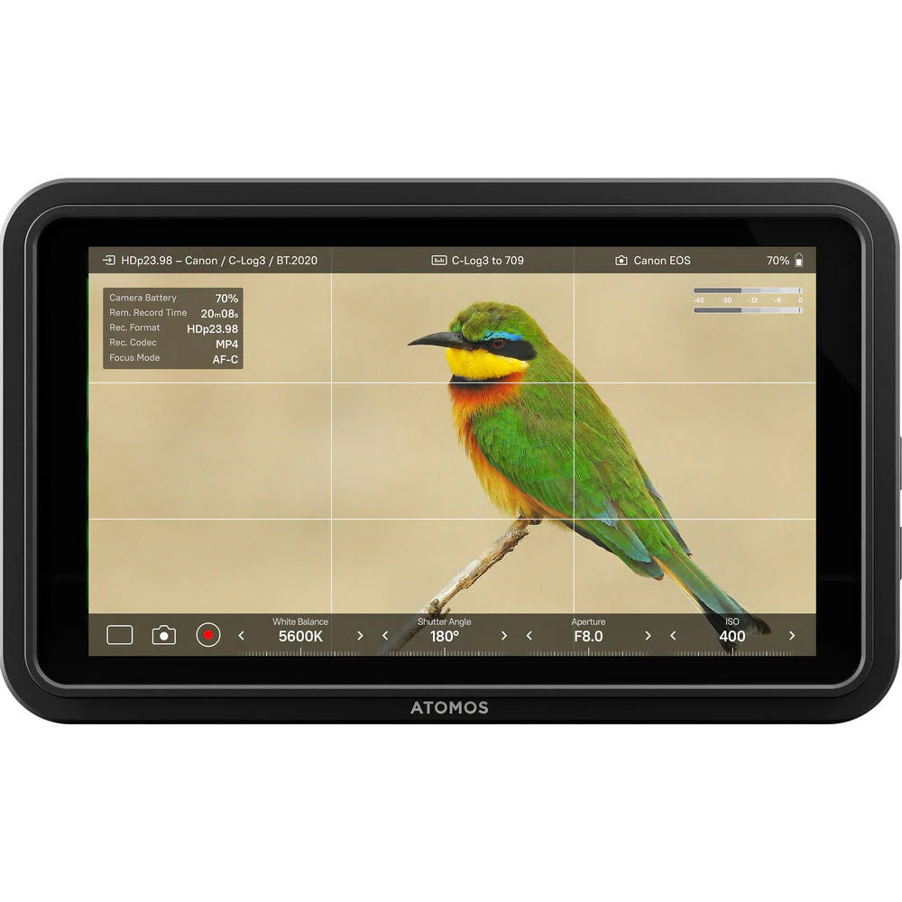 Atomos Shinobi II 5" Monitor - Image 5