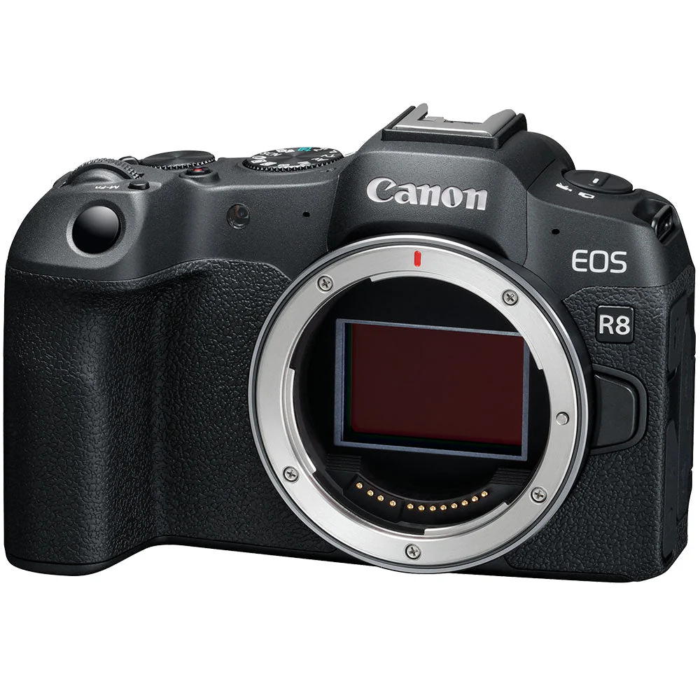 Canon EOS R8 with RF 24-50mm f4.5-6.3 IS STM - Image 3