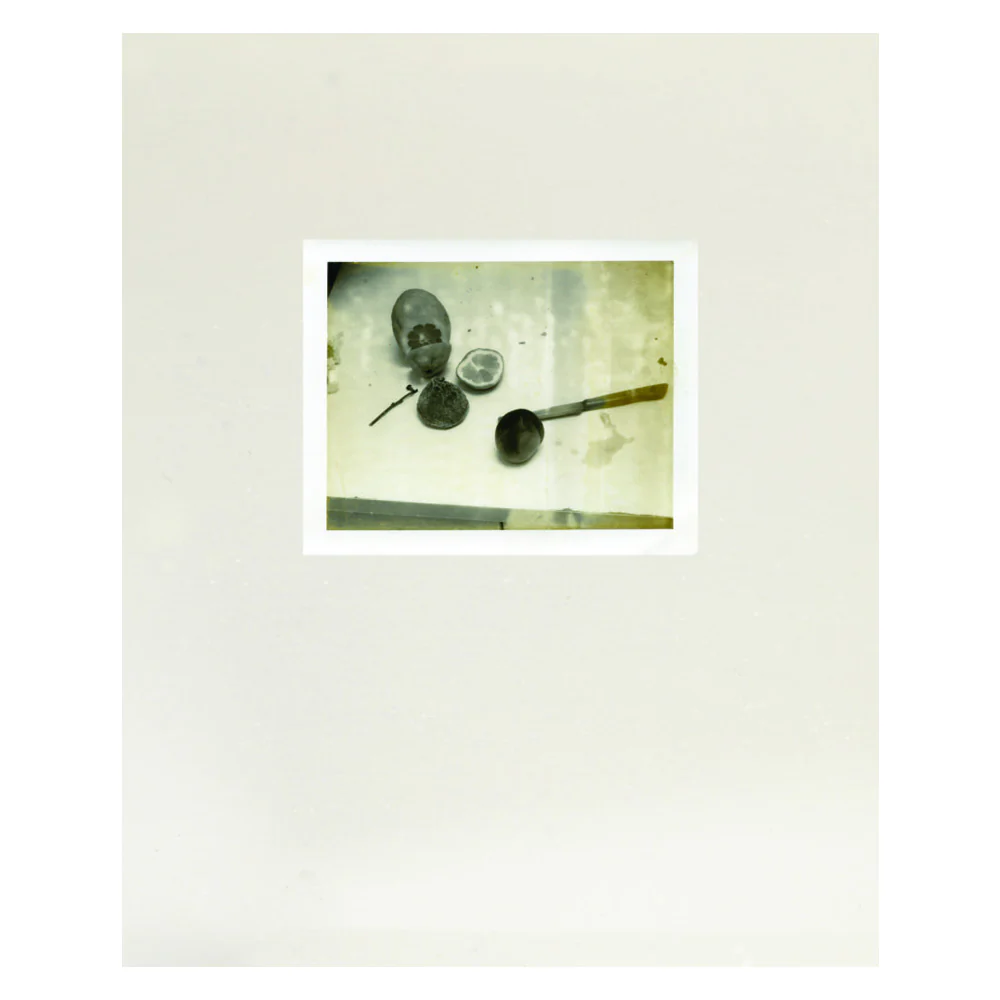 Laura Letinsky: Time's Assignation, The Polaroids