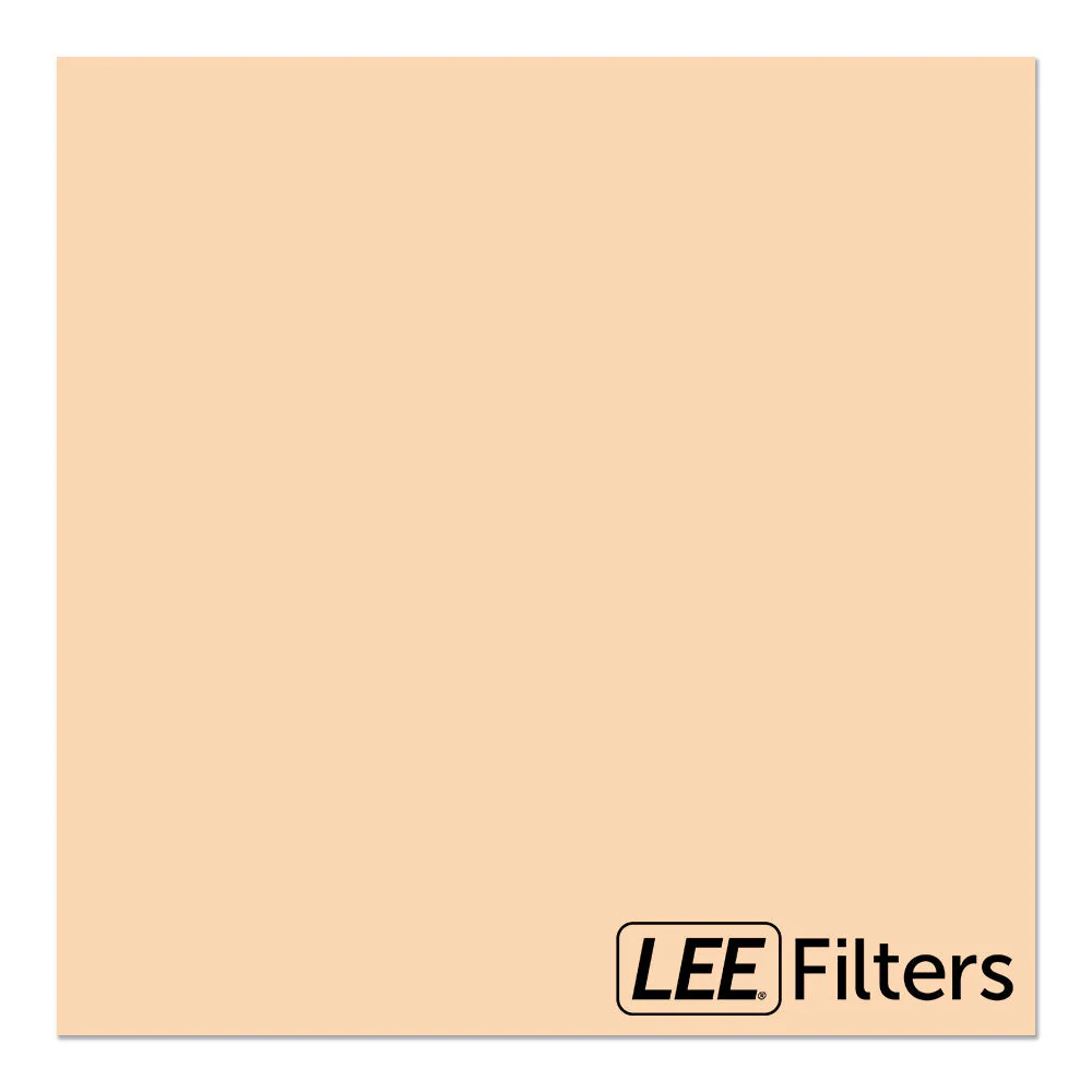 Lee 009 Pale Amber Gold - 20x24"