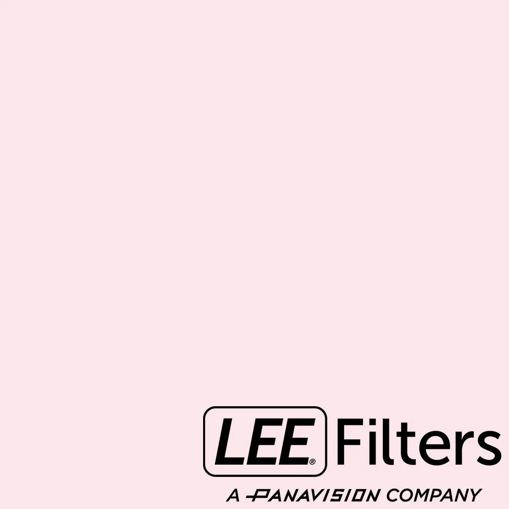 Lee 802 Zircon Minus Green 2 - 24x24" Sheet