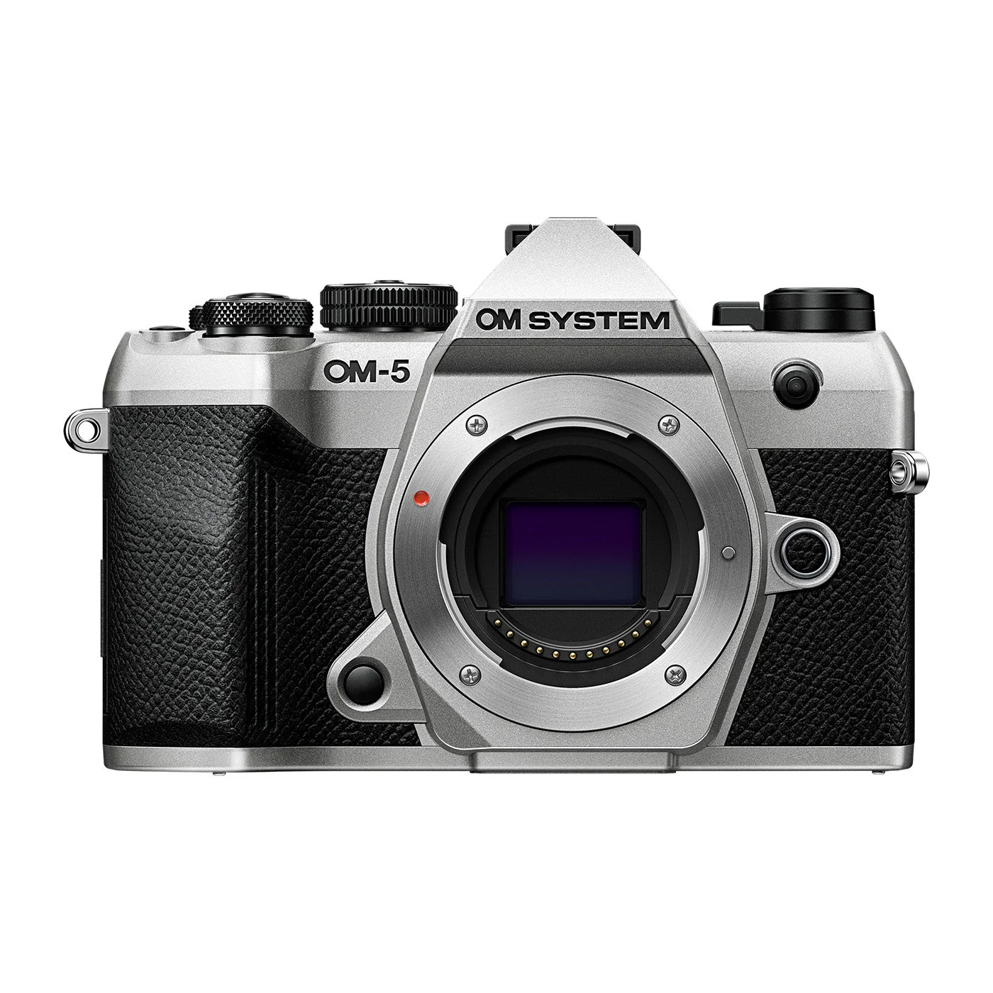 OM System OM-5 Mark II with 14-150mm f4.0-5.6 II - Image 3