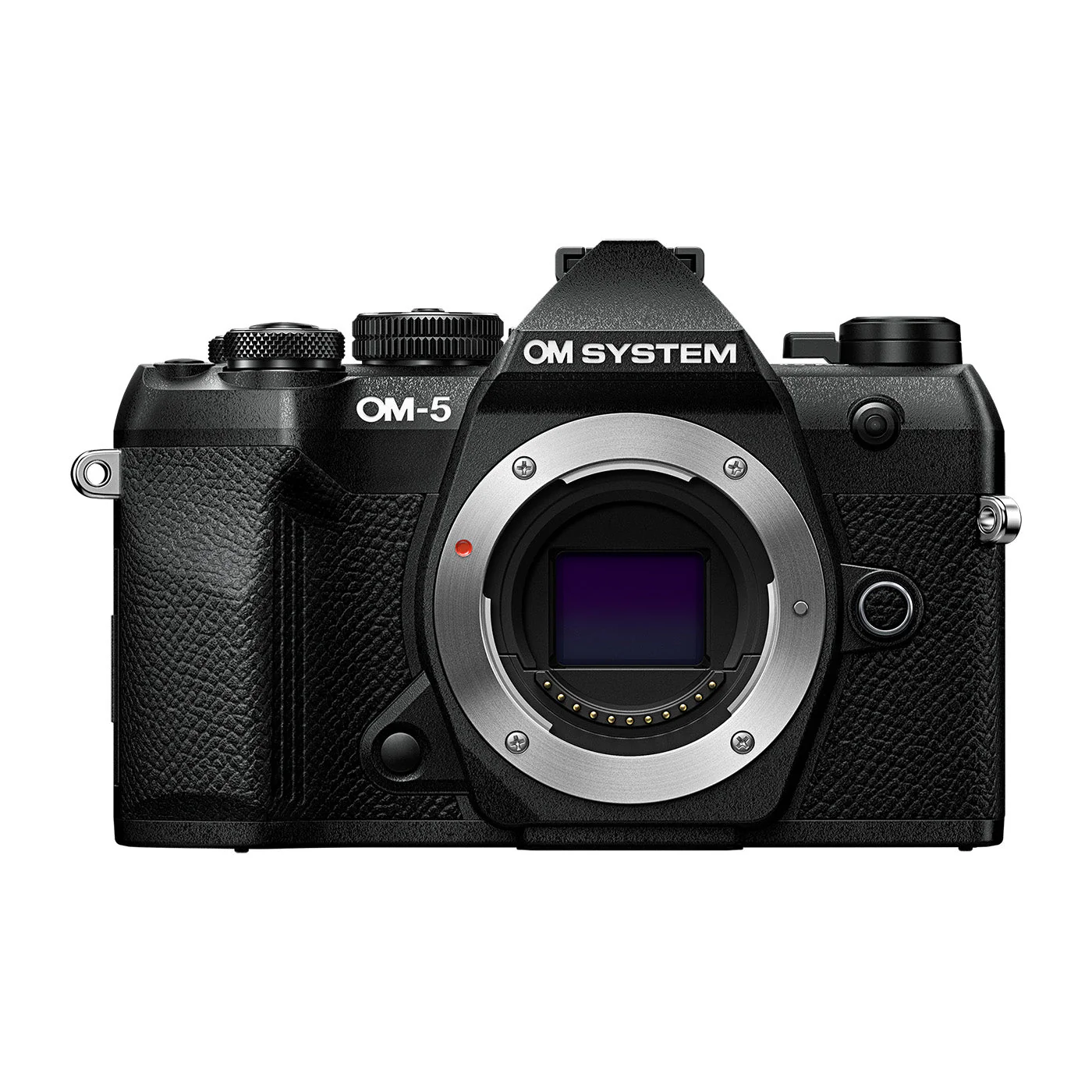 OM System OM-5 Mark II with 14-150mm f4.0-5.6 II - Image 4