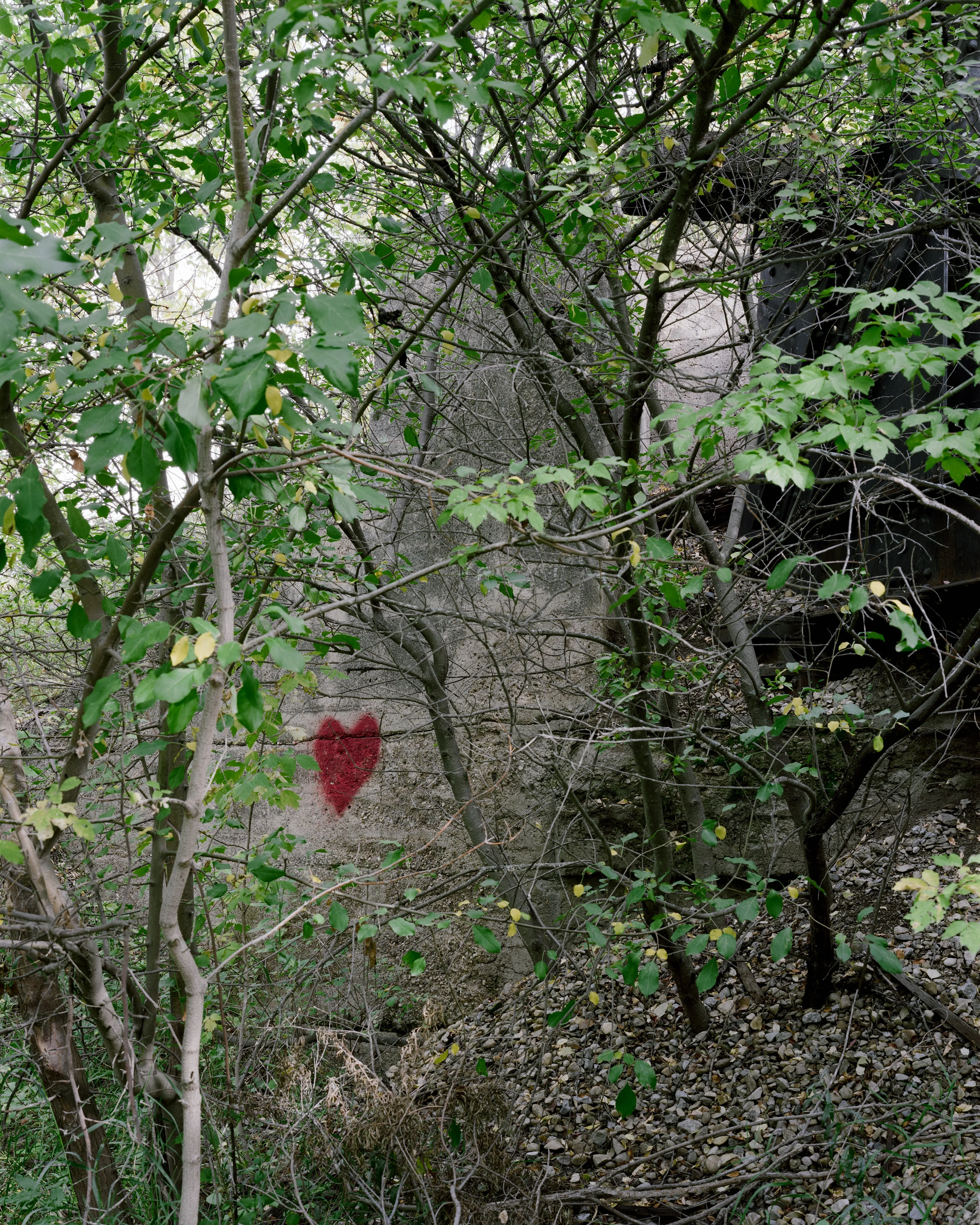 Photo Projects Workshop: Finding & Starting a Photo Project - Sat. Jul. 11 - Image 12