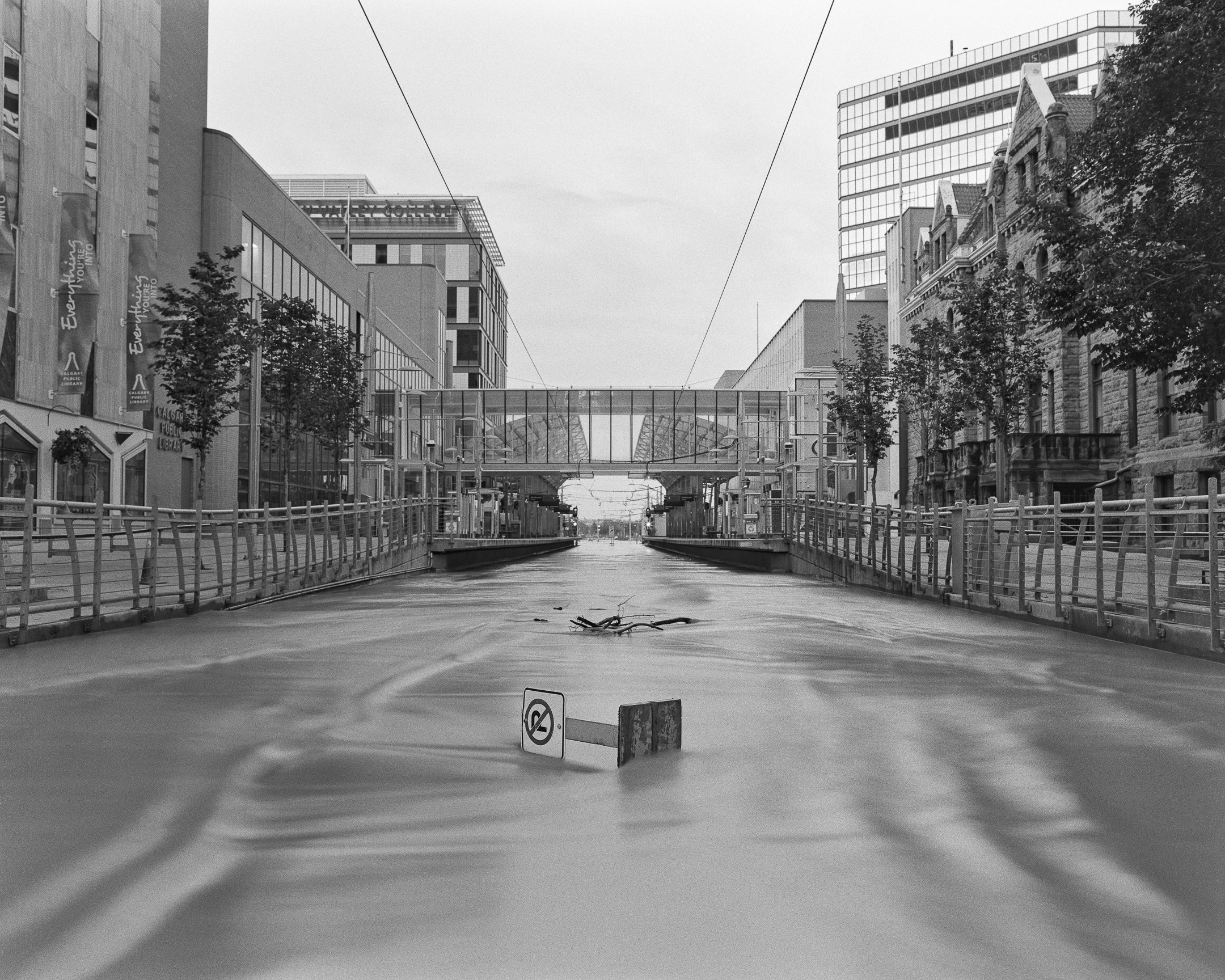 Photo Projects Workshop: Finding & Starting a Photo Project - Sat. Jul. 11 - Image 8