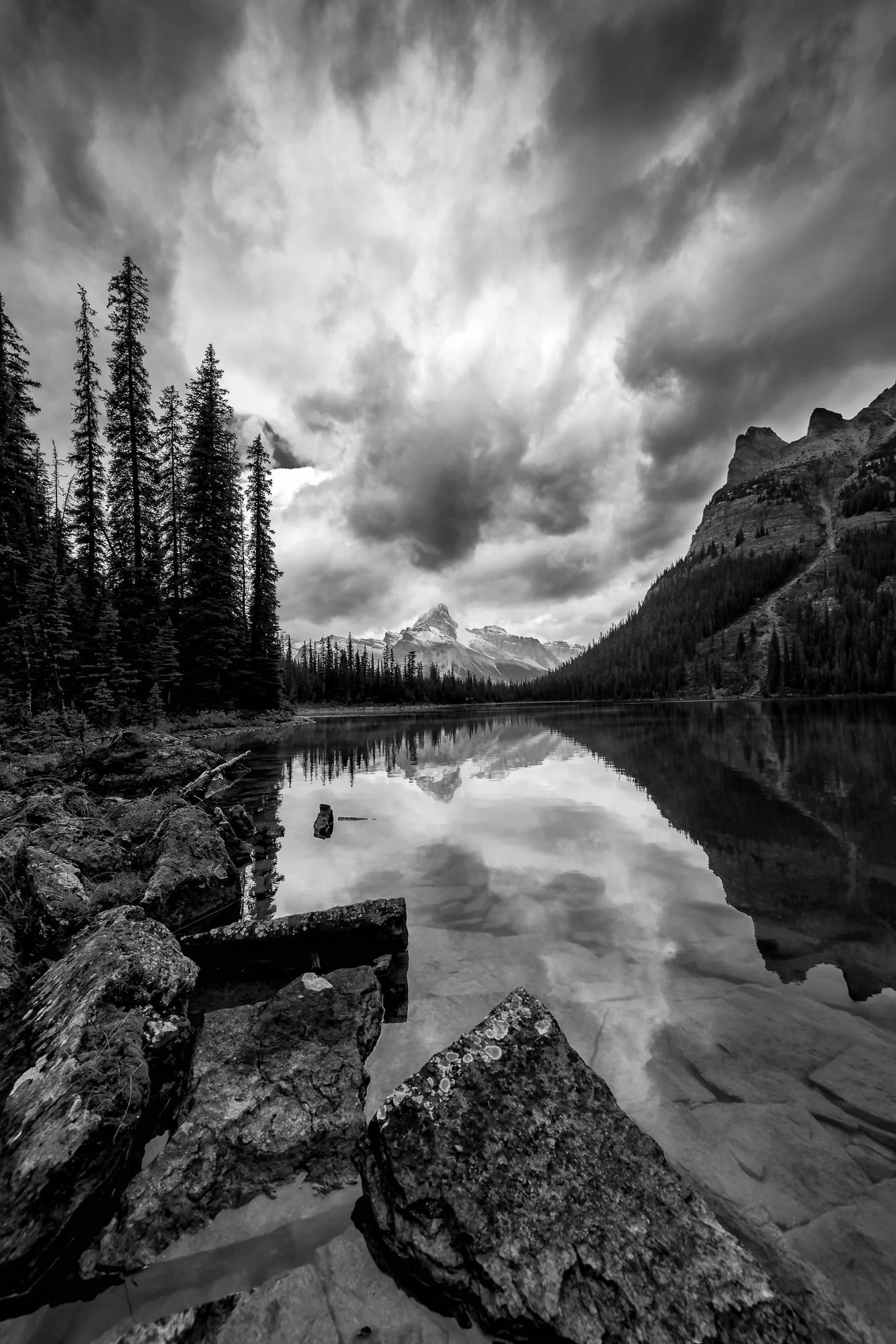 Photography Coffee Talk – Wild Earth: Ice, Light, and Life - Sat. May. 30 - Image 10