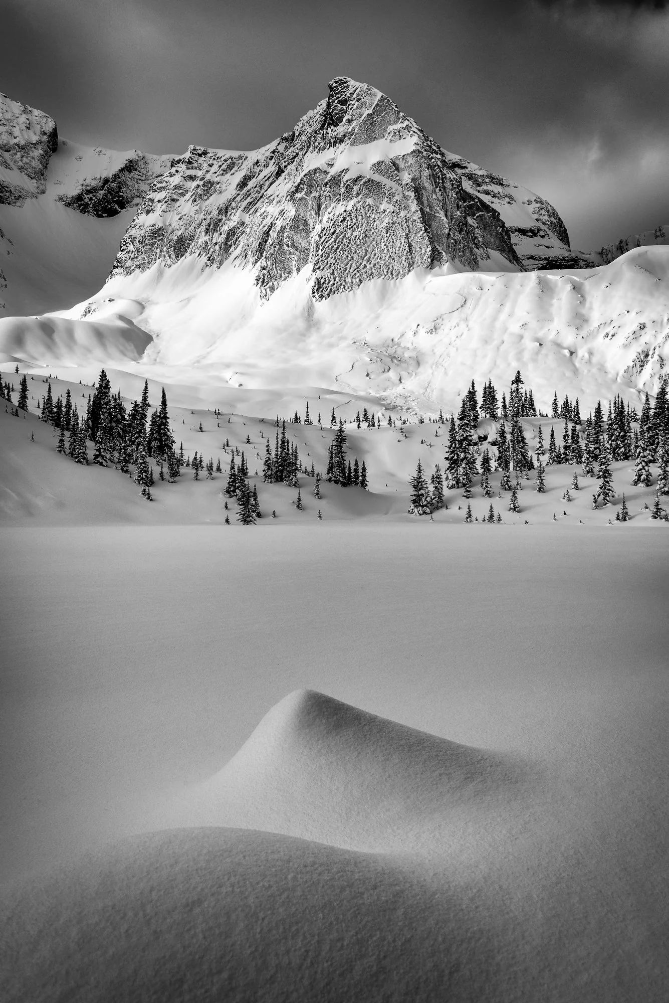 Photography Coffee Talk – Wild Earth: Ice, Light, and Life - Sat. May. 30 - Image 12