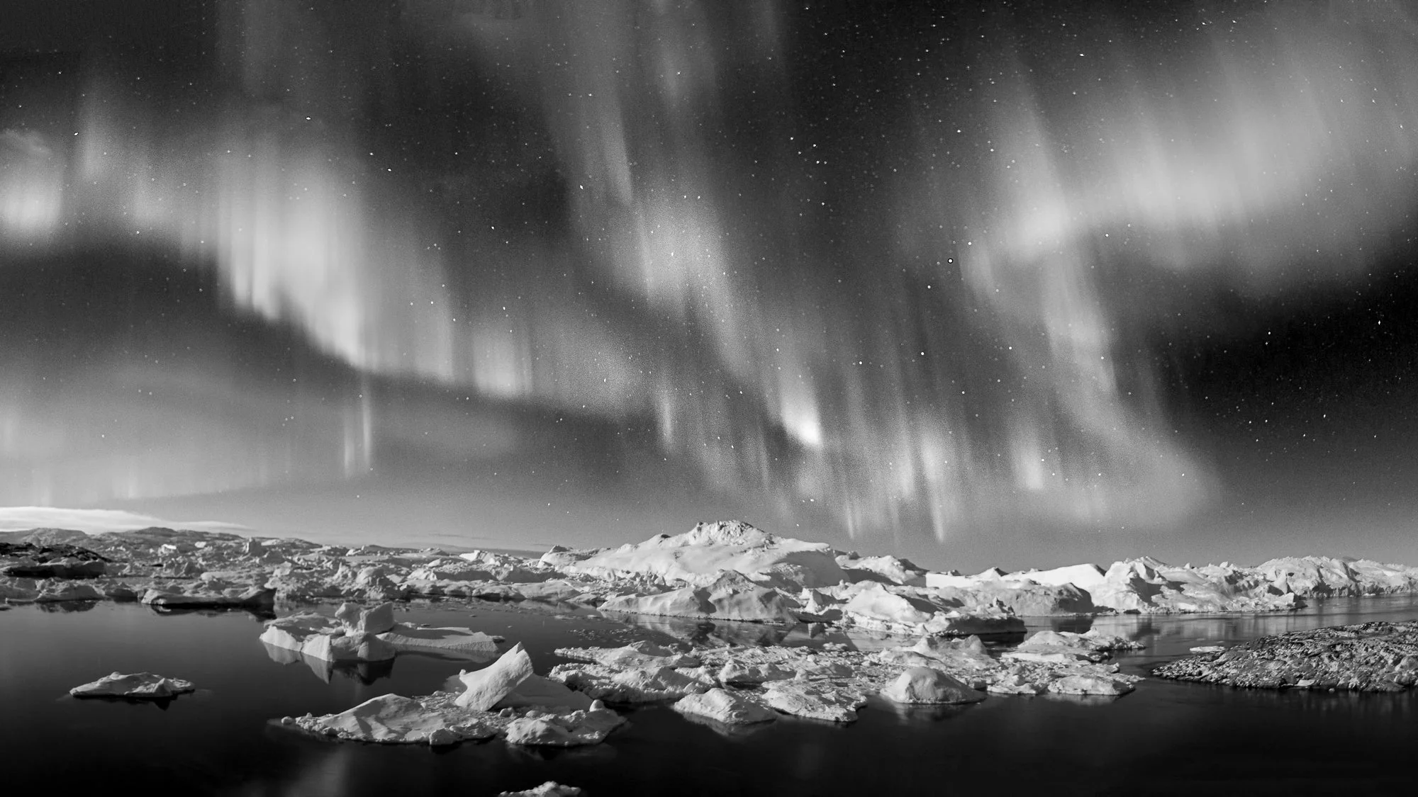 Photography Coffee Talk – Wild Earth: Ice, Light, and Life - Sat. May. 30 - Image 3