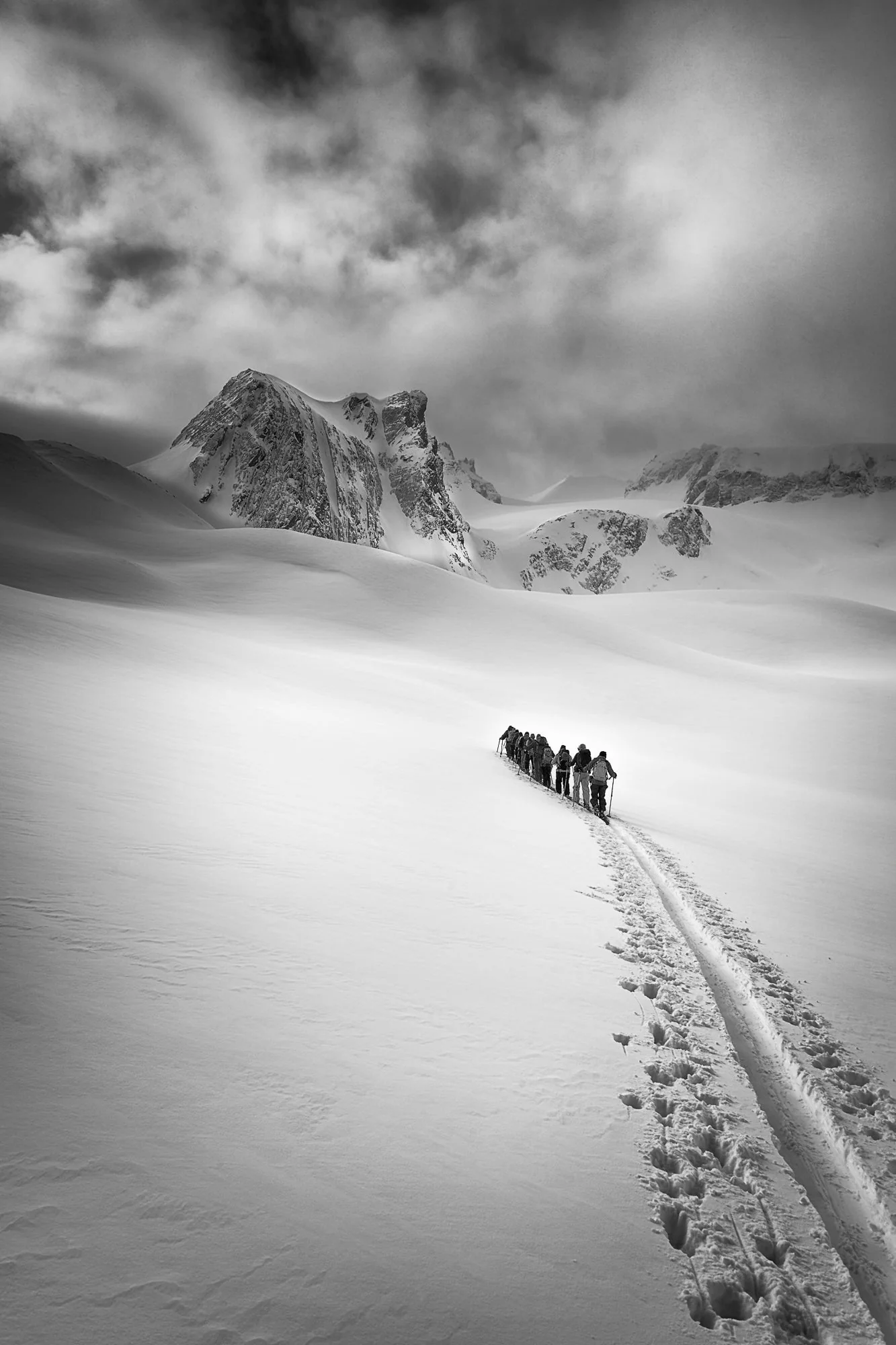 Photography Coffee Talk – Wild Earth: Ice, Light, and Life - Sat. May. 30 - Image 4