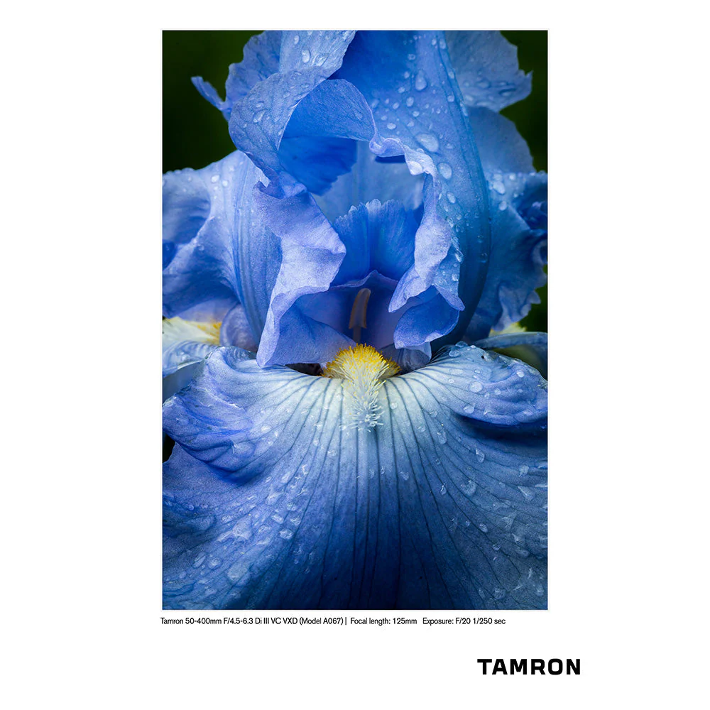 Tamron 50-400mm f4.5-6.3 Di III VC VXD - Nikon Z - Image 5