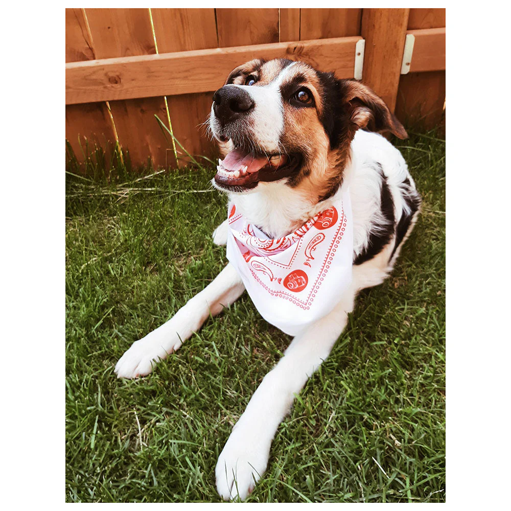 The Camera Store Limited Edition Bandana - Image 3